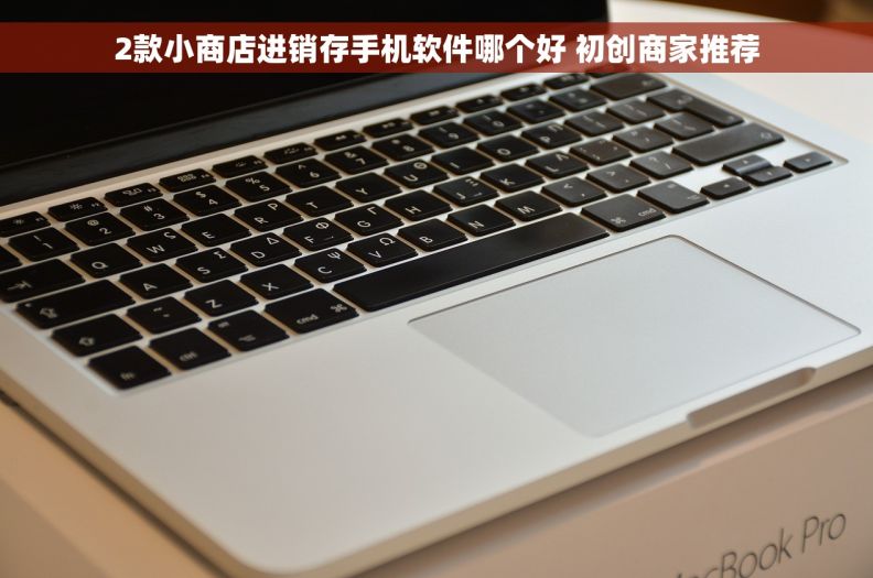 2款小商店进销存手机软件哪个好 初创商家推荐