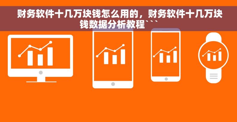  财务软件十几万块钱怎么用的，财务软件十几万块钱数据分析教程```