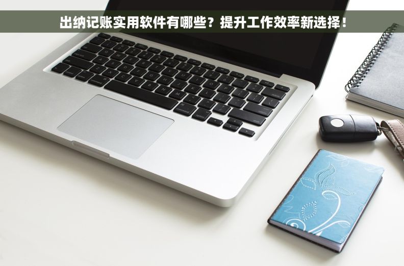 出纳记账实用软件有哪些？提升工作效率新选择！