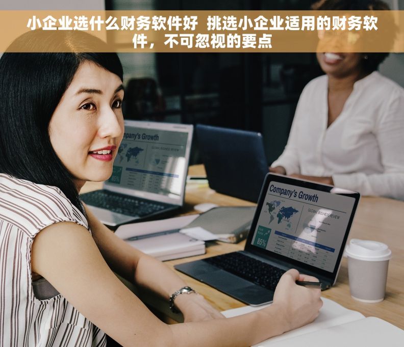 小企业选什么财务软件好  挑选小企业适用的财务软件，不可忽视的要点