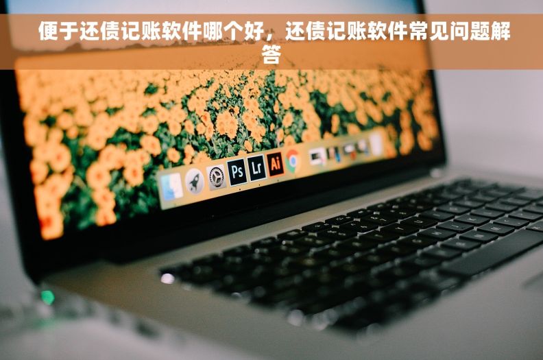  便于还债记账软件哪个好，还债记账软件常见问题解答