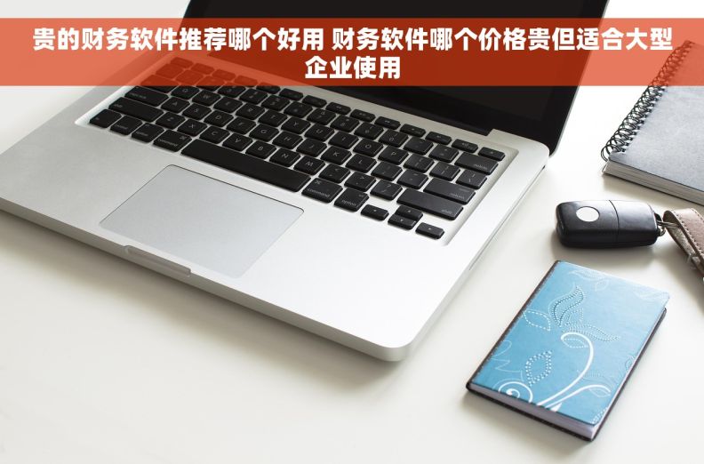 贵的财务软件推荐哪个好用 财务软件哪个价格贵但适合大型企业使用
