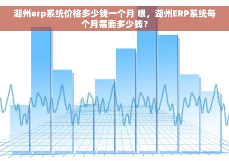 湖州erp系统价格多少钱一个月 喂，湖州ERP系统每个月需要多少钱？