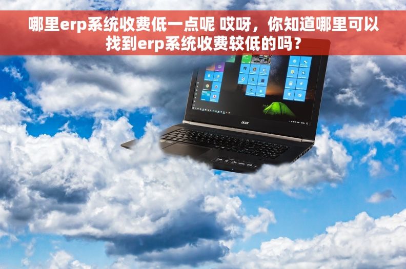 哪里erp系统收费低一点呢 哎呀，你知道哪里可以找到erp系统收费较低的吗？