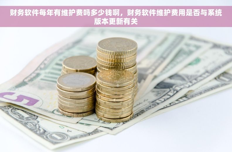 财务软件每年有维护费吗多少钱啊，财务软件维护费用是否与系统版本更新有关