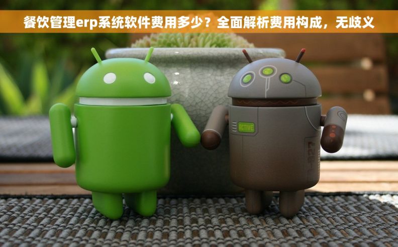 餐饮管理erp系统软件费用多少？全面解析费用构成，无歧义