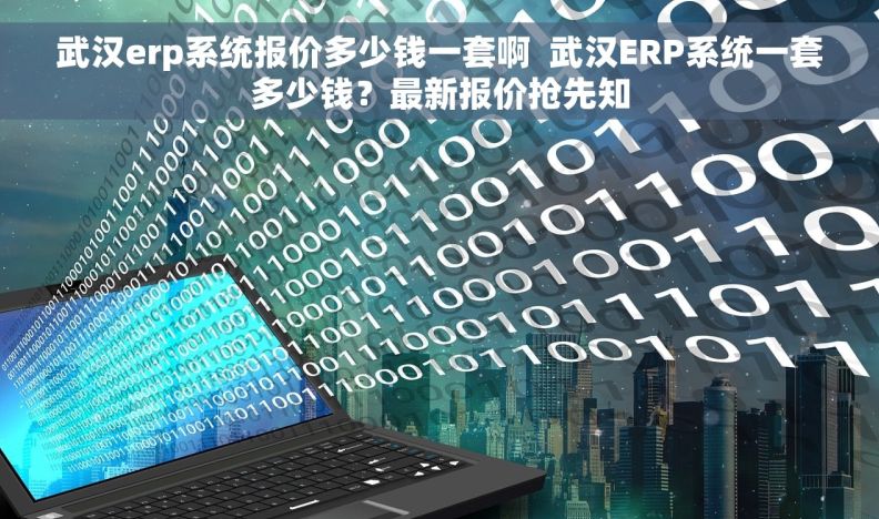 武汉erp系统报价多少钱一套啊  武汉ERP系统一套多少钱？最新报价抢先知