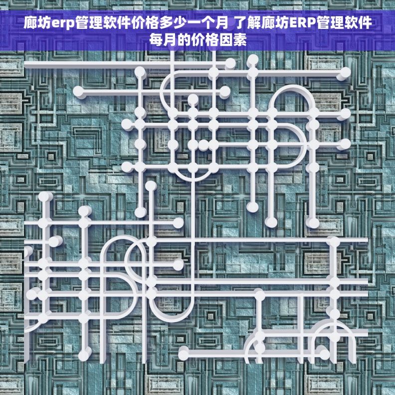 廊坊erp管理软件价格多少一个月 了解廊坊ERP管理软件每月的价格因素