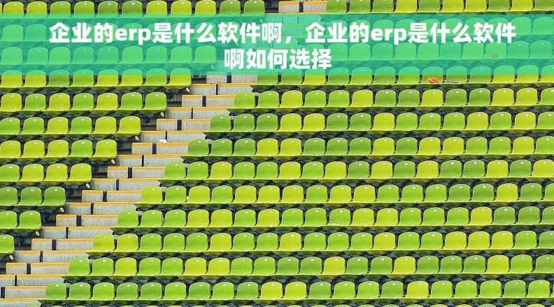   企业的erp是什么软件啊，企业的erp是什么软件啊如何选择