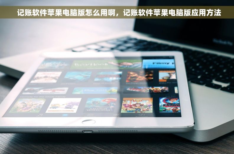   记账软件苹果电脑版怎么用啊，记账软件苹果电脑版应用方法