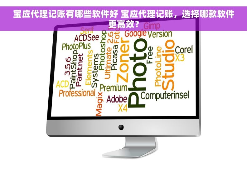 宝应代理记账有哪些软件好 宝应代理记账，选择哪款软件更高效？
