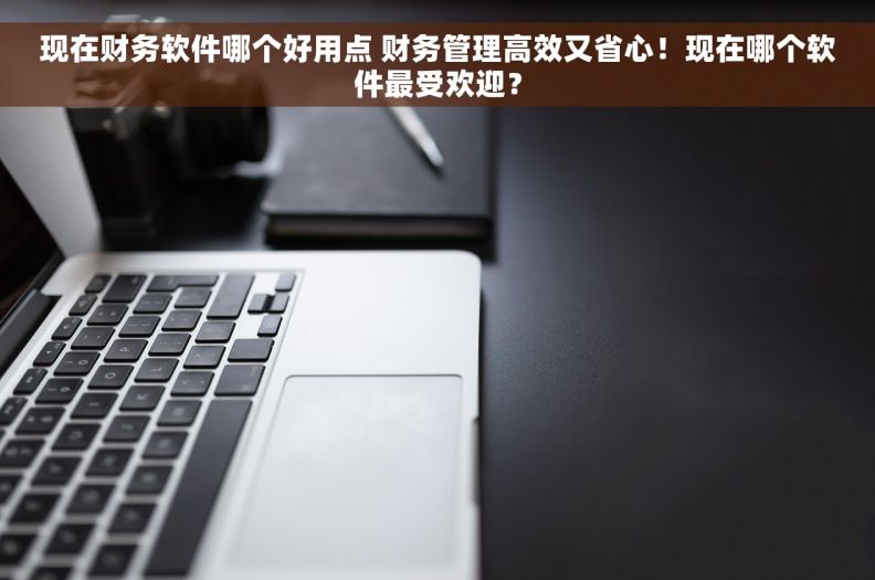 现在财务软件哪个好用点 财务管理高效又省心！现在哪个软件最受欢迎？