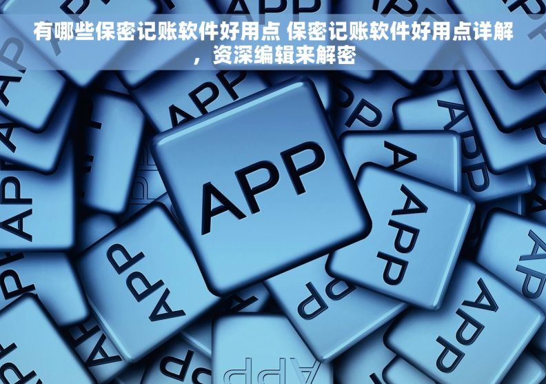有哪些保密记账软件好用点 保密记账软件好用点详解，资深编辑来解密