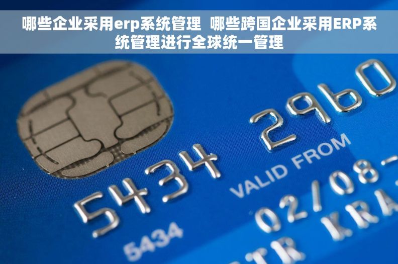 哪些企业采用erp系统管理  哪些跨国企业采用ERP系统管理进行全球统一管理