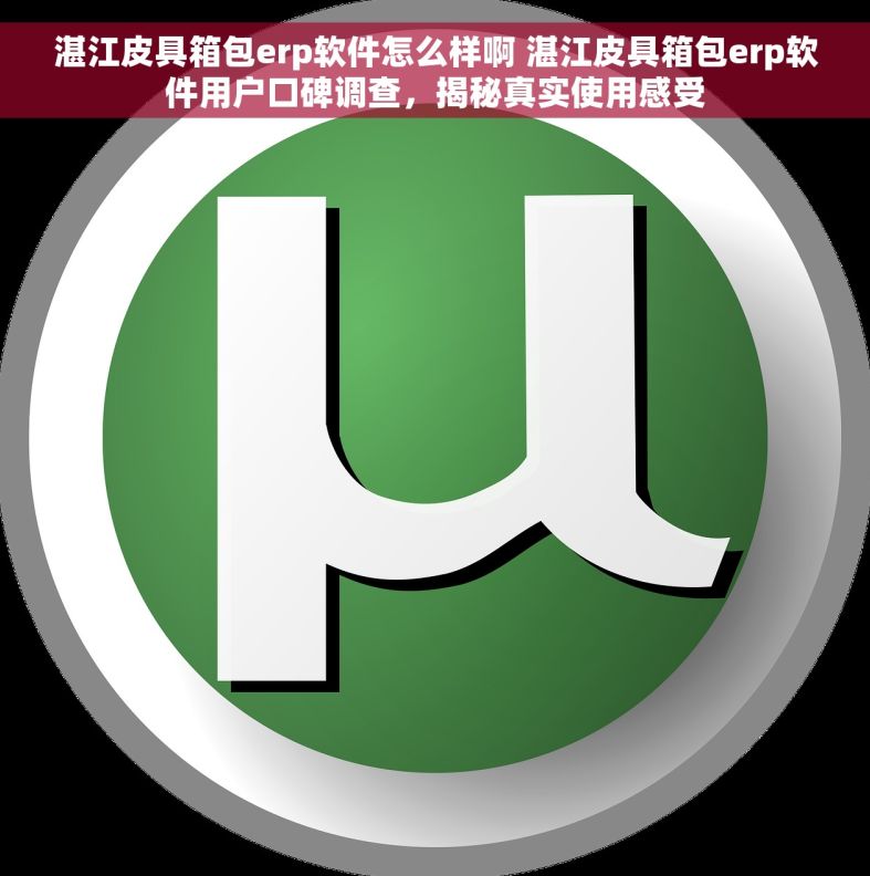 湛江皮具箱包erp软件怎么样啊 湛江皮具箱包erp软件用户口碑调查，揭秘真实使用感受