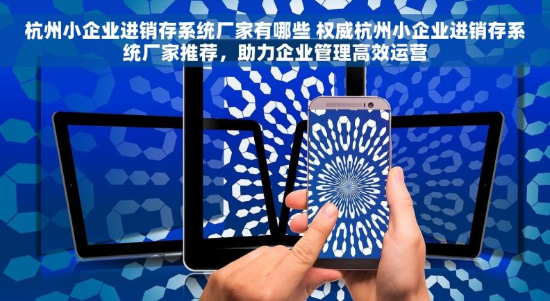 杭州小企业进销存系统厂家有哪些 权威杭州小企业进销存系统厂家推荐，助力企业管理高效运营