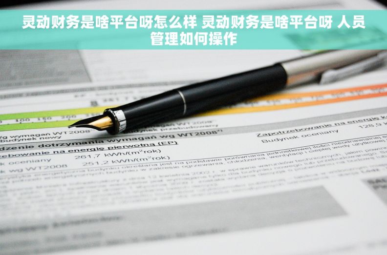 灵动财务是啥平台呀怎么样 灵动财务是啥平台呀 人员管理如何操作