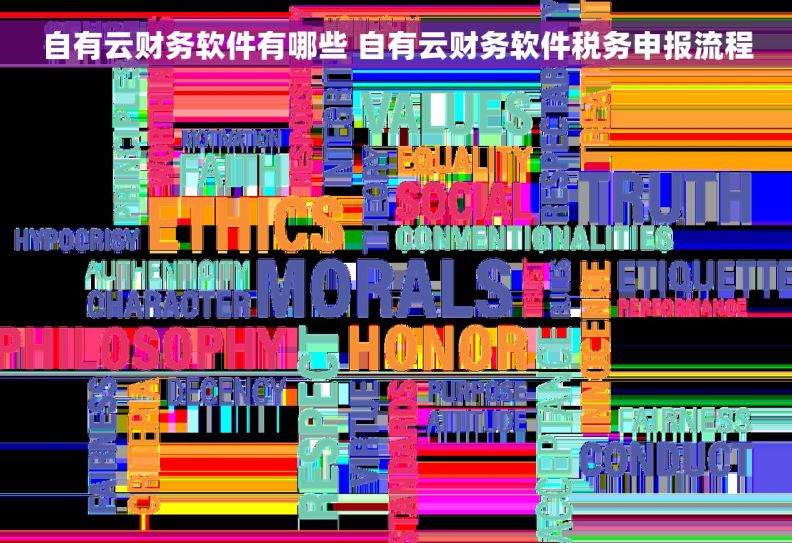 自有云财务软件有哪些 自有云财务软件税务申报流程