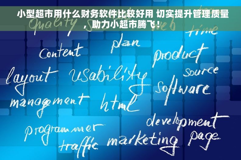   小型超市用什么财务软件比较好用 切实提升管理质量，助力小超市腾飞！