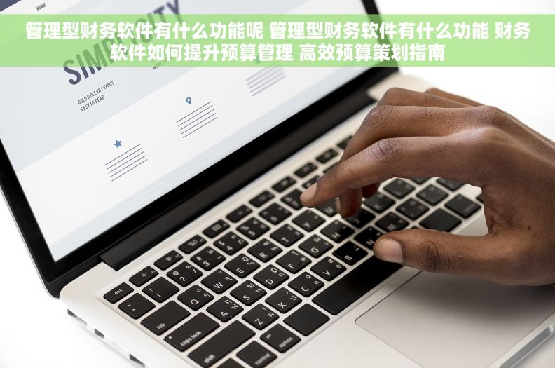 管理型财务软件有什么功能呢 管理型财务软件有什么功能 财务软件如何提升预算管理 高效预算策划指南