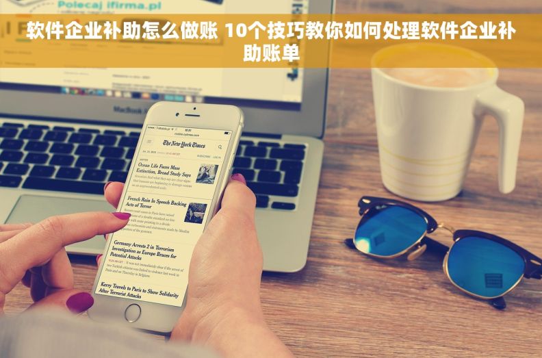 软件企业补助怎么做账 10个技巧教你如何处理软件企业补助账单