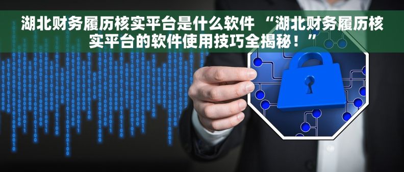 湖北财务履历核实平台是什么软件 “湖北财务履历核实平台的软件使用技巧全揭秘！”