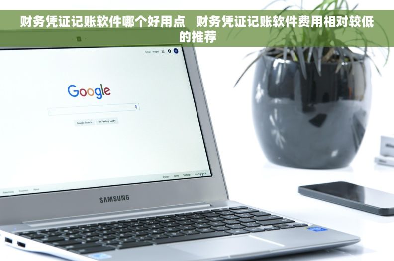 财务凭证记账软件哪个好用点   财务凭证记账软件费用相对较低的推荐