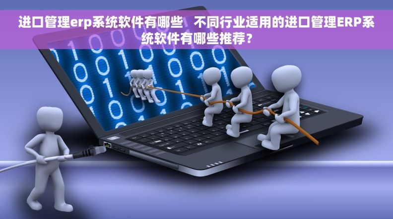 进口管理erp系统软件有哪些   不同行业适用的进口管理ERP系统软件有哪些推荐？