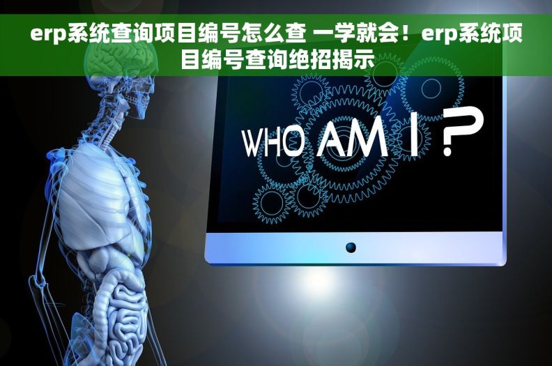 erp系统查询项目编号怎么查 一学就会！erp系统项目编号查询绝招揭示
