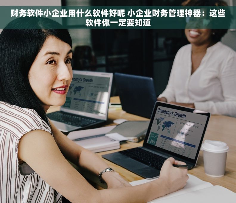 财务软件小企业用什么软件好呢 小企业财务管理神器：这些软件你一定要知道