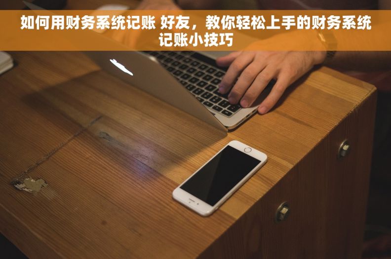 如何用财务系统记账 好友，教你轻松上手的财务系统记账小技巧