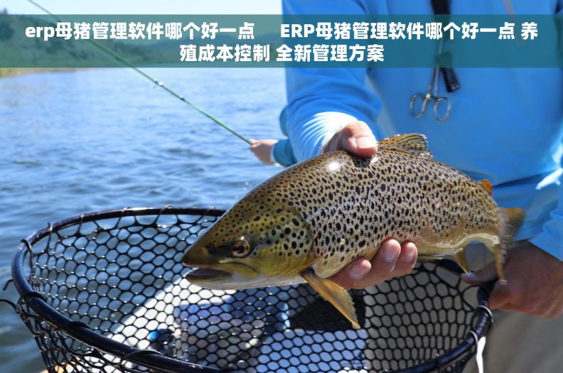 erp母猪管理软件哪个好一点     ERP母猪管理软件哪个好一点 养殖成本控制 全新管理方案