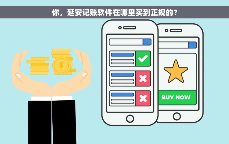 你，延安记账软件在哪里买到正规的？