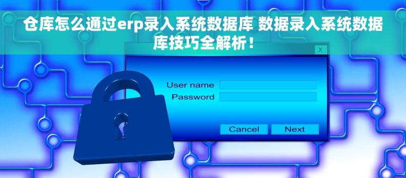 仓库怎么通过erp录入系统数据库 数据录入系统数据库技巧全解析！