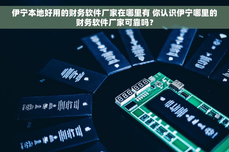 伊宁本地好用的财务软件厂家在哪里有 你认识伊宁哪里的财务软件厂家可靠吗? 伊宁本地好用的财务软件厂家在哪里有 你认识伊宁哪里的财务软件厂家可靠吗?