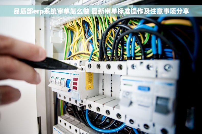 品质部erp系统审单怎么做 最新审单标准操作及注意事项分享