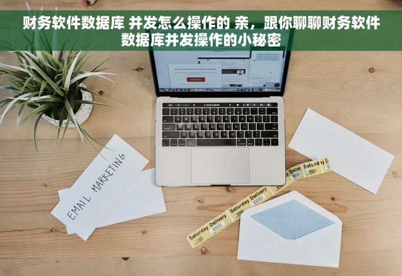 财务软件数据库 并发怎么操作的 亲，跟你聊聊财务软件数据库并发操作的小秘密