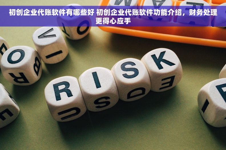 初创企业代账软件有哪些好 初创企业代账软件功能介绍，财务处理更得心应手