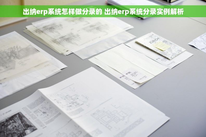 出纳erp系统怎样做分录的 出纳erp系统分录实例解析