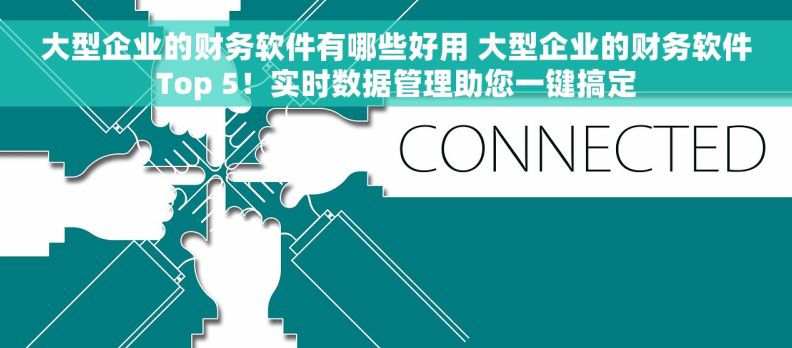 大型企业的财务软件有哪些好用 大型企业的财务软件Top 5！实时数据管理助您一键搞定