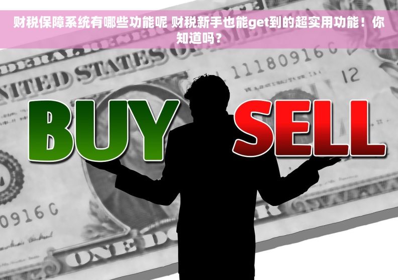 财税保障系统有哪些功能呢 财税新手也能get到的超实用功能！你知道吗？
