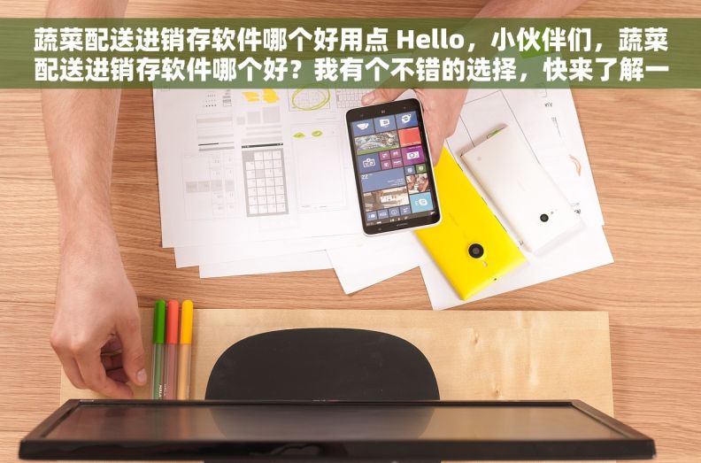 蔬菜配送进销存软件哪个好用点 Hello，小伙伴们，蔬菜配送进销存软件哪个好？我有个不错的选择，快来了解一下！