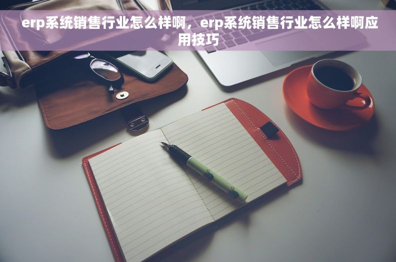  erp系统销售行业怎么样啊，erp系统销售行业怎么样啊应用技巧