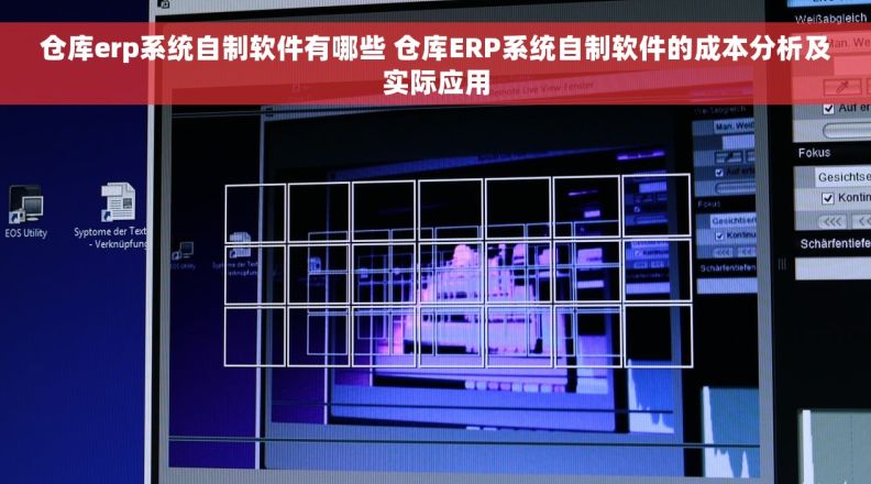 仓库erp系统自制软件有哪些 仓库ERP系统自制软件的成本分析及实际应用