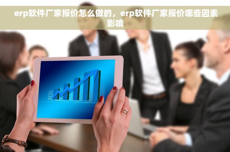  erp软件厂家报价怎么做的，erp软件厂家报价哪些因素影响