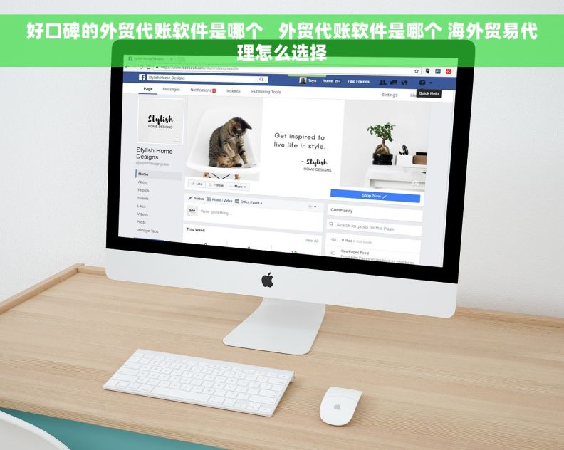 好口碑的外贸代账软件是哪个   外贸代账软件是哪个 海外贸易代理怎么选择