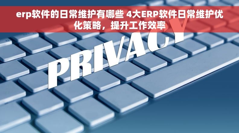 erp软件的日常维护有哪些 4大ERP软件日常维护优化策略，提升工作效率