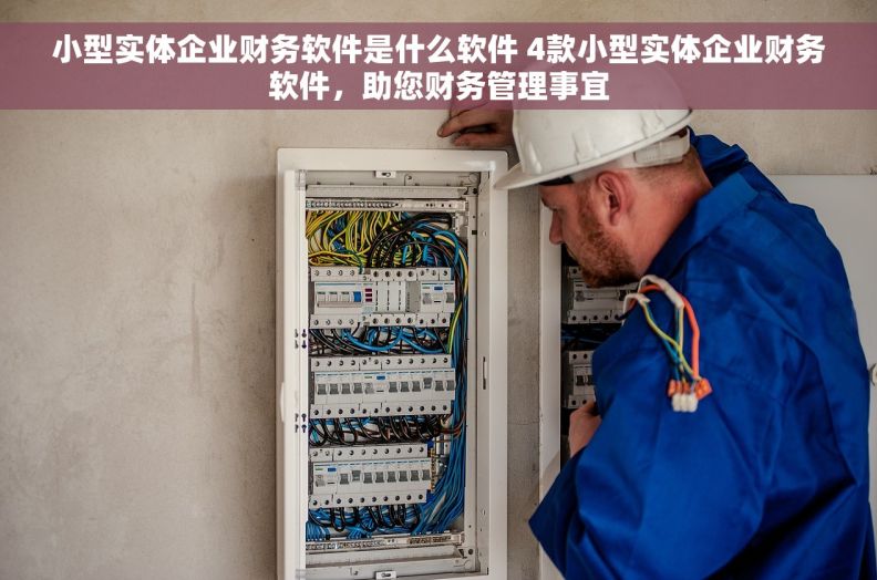 小型实体企业财务软件是什么软件 4款小型实体企业财务软件，助您财务管理事宜