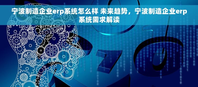 宁波制造企业erp系统怎么样 未来趋势，宁波制造企业erp系统需求解读