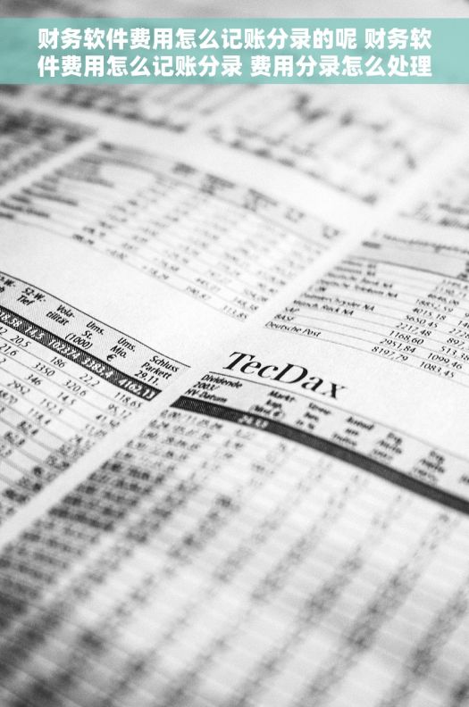 财务软件费用怎么记账分录的呢 财务软件费用怎么记账分录 费用分录怎么处理 财务软件费用怎么记账分录的呢 财务软件费用怎么记账分录 费用分录怎么处理